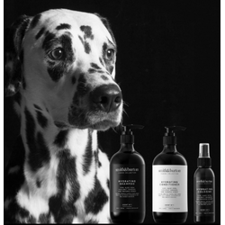 BIO feuchtigkeitsspendender Conditioner für Hunde und Katzen mit Kiwi, Aloe Vera, Manukahonig, Ginseng und Kokosnuss (250/500ml)