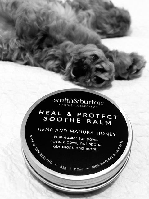 Cómo Elegir Cosméticos Seguros para Tu Perro