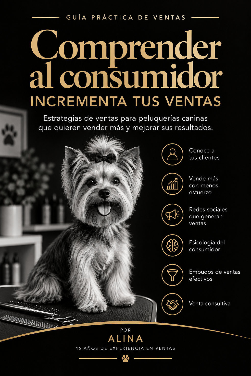Ebook: Comprender al consumidor – Incrementa tus ventas